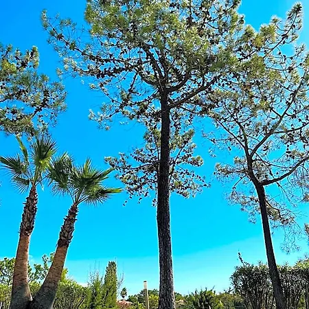 Scarlet's Place - 1 Bed Victory Village Quinta Do - Beach, Nature, Lakes Ξενοδοχείο 4*